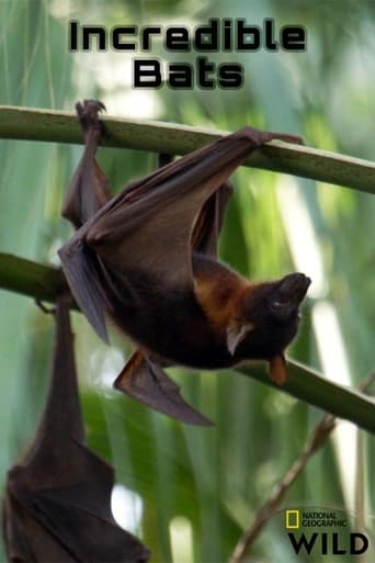 Incredible Bats
