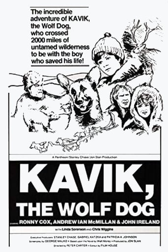 Kavik the Wolf Dog